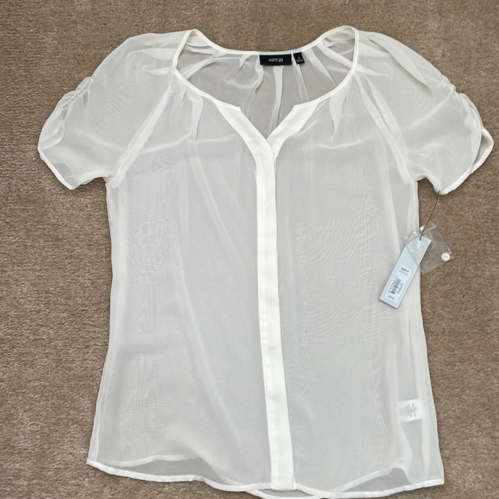 Sheer Blouse